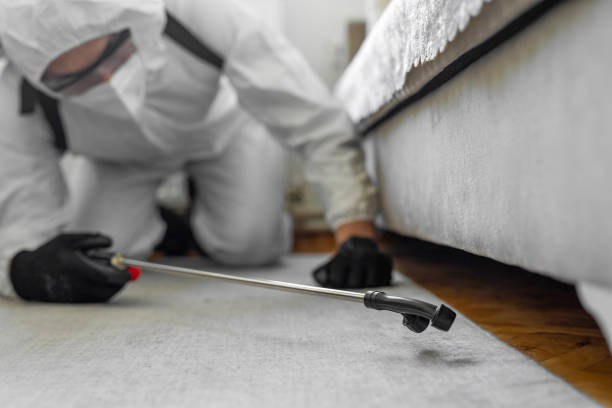 Professional Bed Bug Control technician working in Garden City, MI