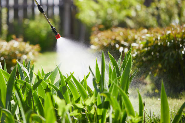 24/7 Emergency Bed Bug Control experts in Garden City, MI