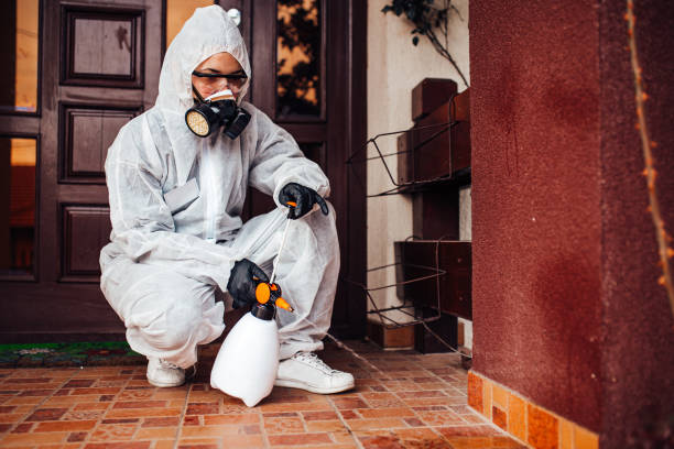 Reliable Bed Bug Control contractor in Garden City, MI by Nex Pest Control